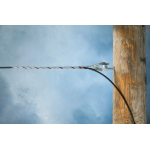 FIBERLIGN® ADSS Drop Cable Dead-end
